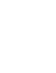 deer valley icon